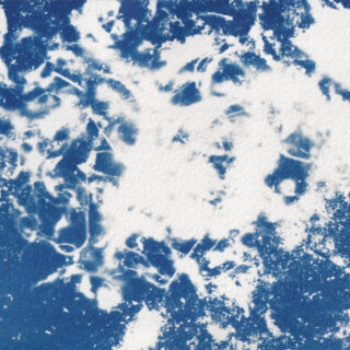 Cyanotypien Staub Textilwerkstatt