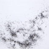 Große Kohlezeichnungen